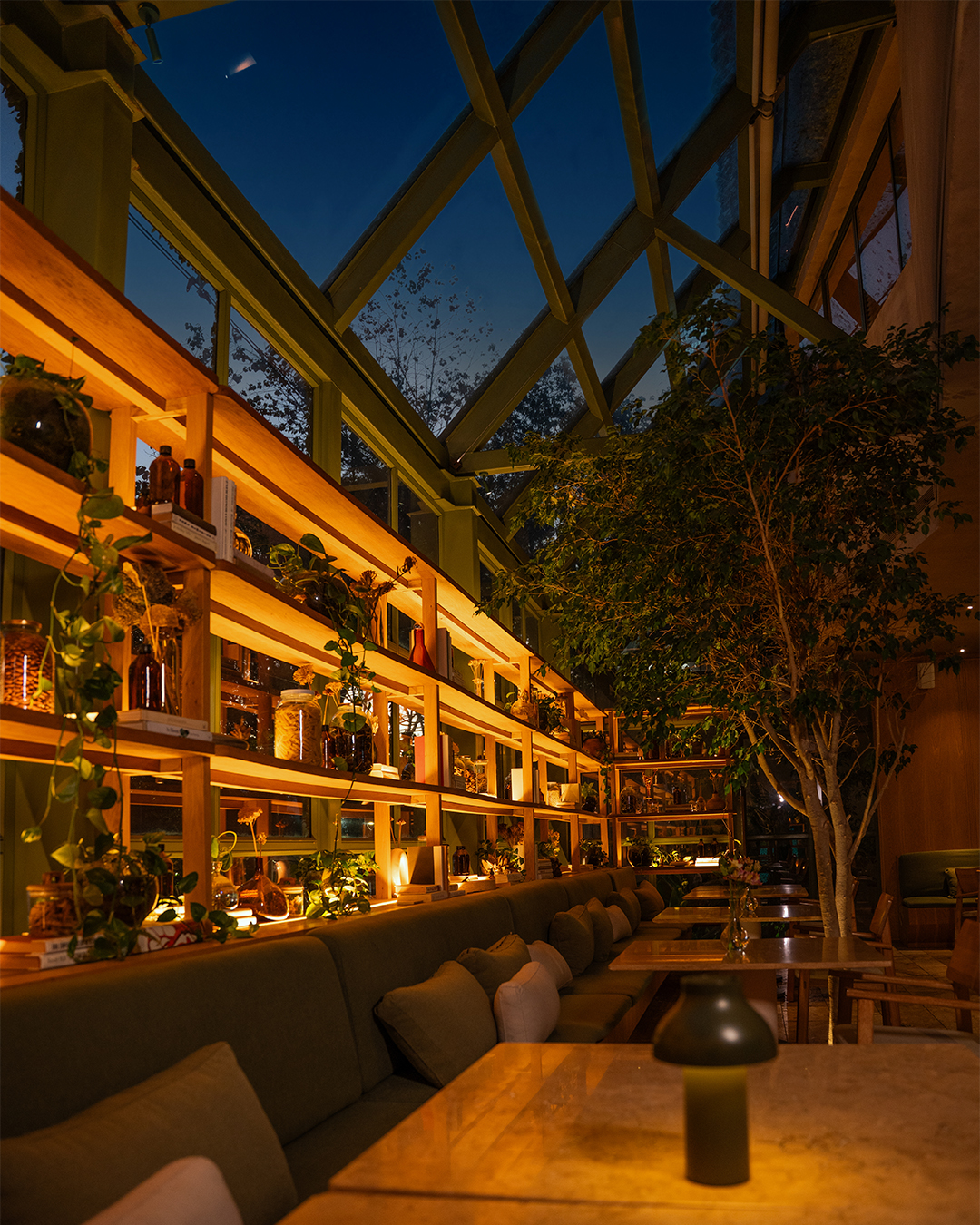THE CHARLEE / MEDELLÍN